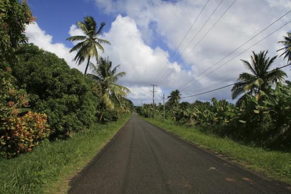 Dominica Roads