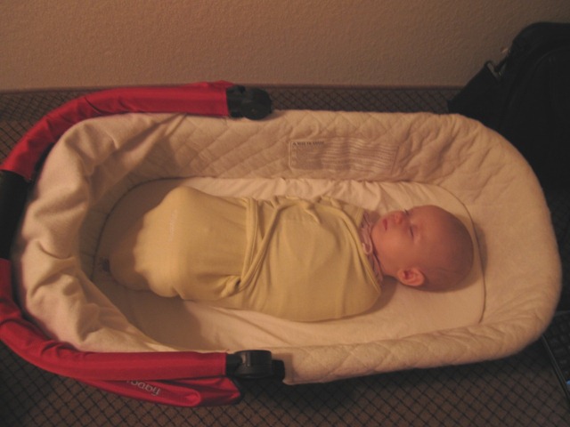 flying with uppababy vista